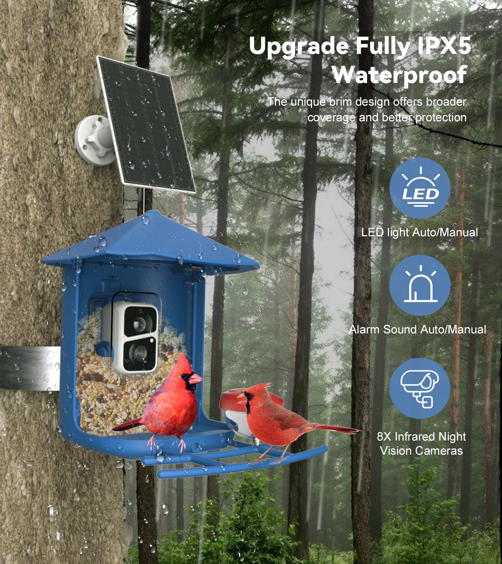 Orivanta AI Smart Bird Feeder Camera 2K HD