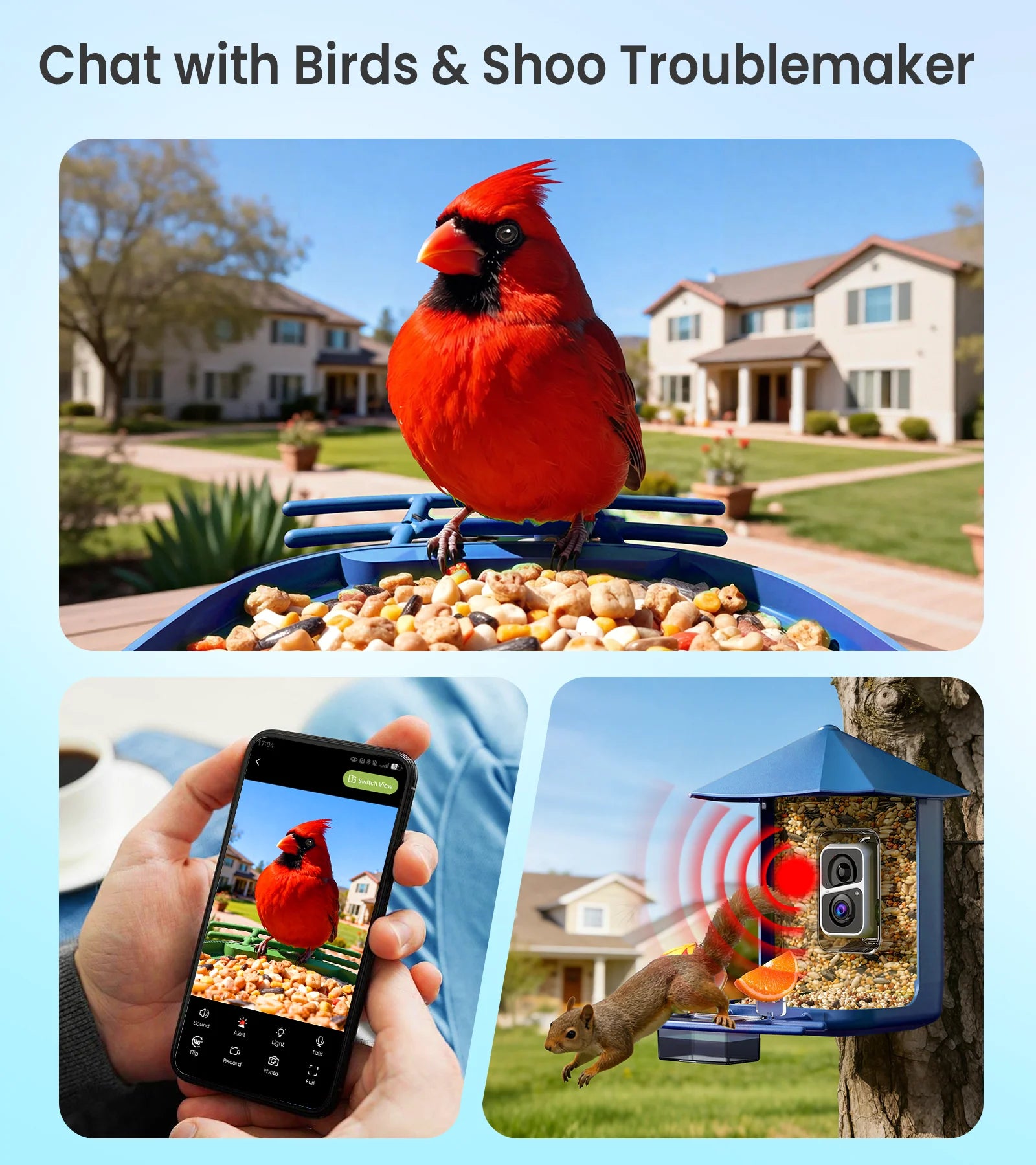 Orivanta AI Smart Bird Feeder Camera 2K HD