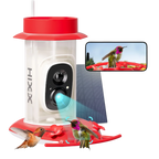 Red_Smart_Hummingbird_Feeder_AI_Camera-_Birds_of_Our_Lives