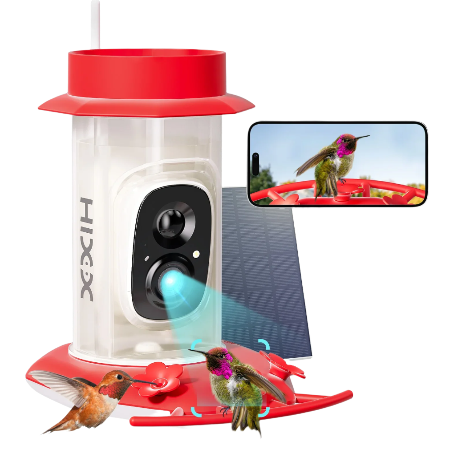 Red_Smart_Hummingbird_Feeder_AI_Camera-_Birds_of_Our_Lives
