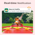 RichBird Smart Hummingbird Feeder with Camera