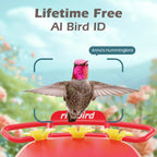 RichBird Smart Hummingbird Feeder with Camera