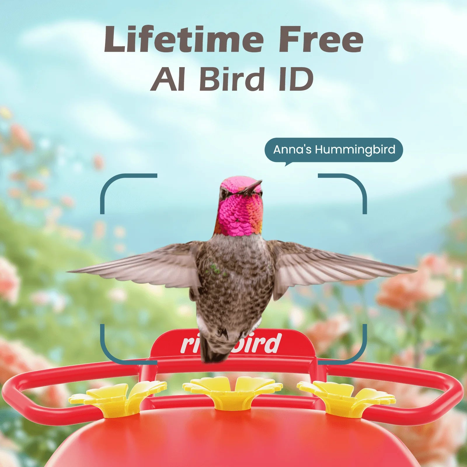 RichBird Smart Hummingbird Feeder with Camera