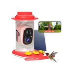 Richbird_Camera_Feeder_-_Birds_of_Our_Lives_3