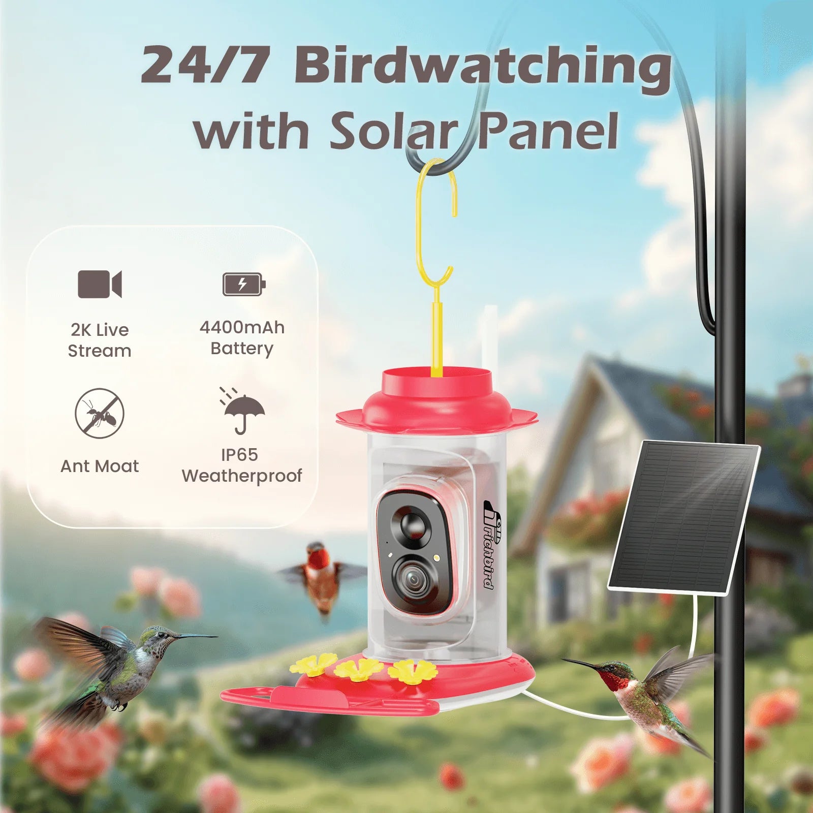 RichBird Smart Hummingbird Feeder with Camera