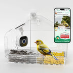 Rivue™ Smart Window Bird Feeder with Camera
