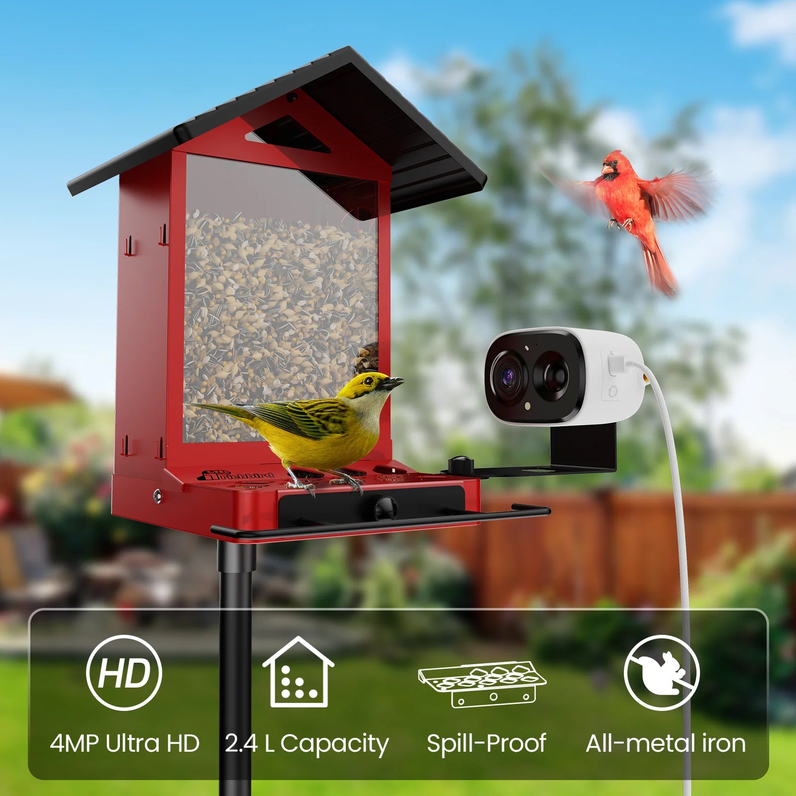 Rusto Pro AI Smart Bird Feeder with Camera