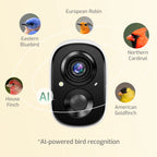 Rusto Pro AI Smart Bird Feeder with Camera