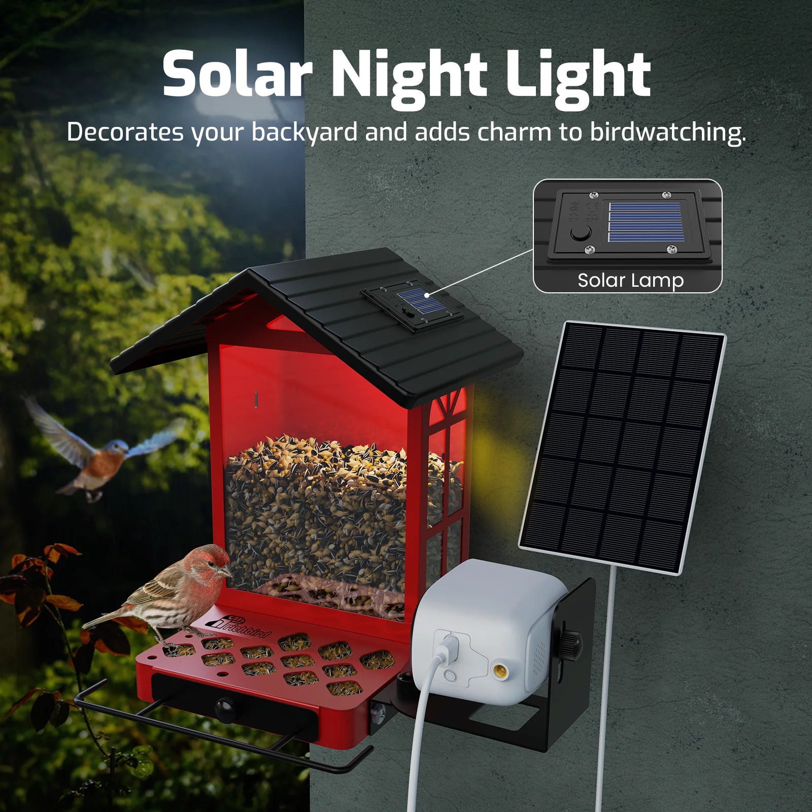 Rusto Pro AI Smart Bird Feeder with Camera