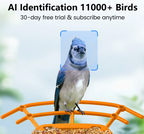 AI Smart Bird Feeder Camera 2.5K HD