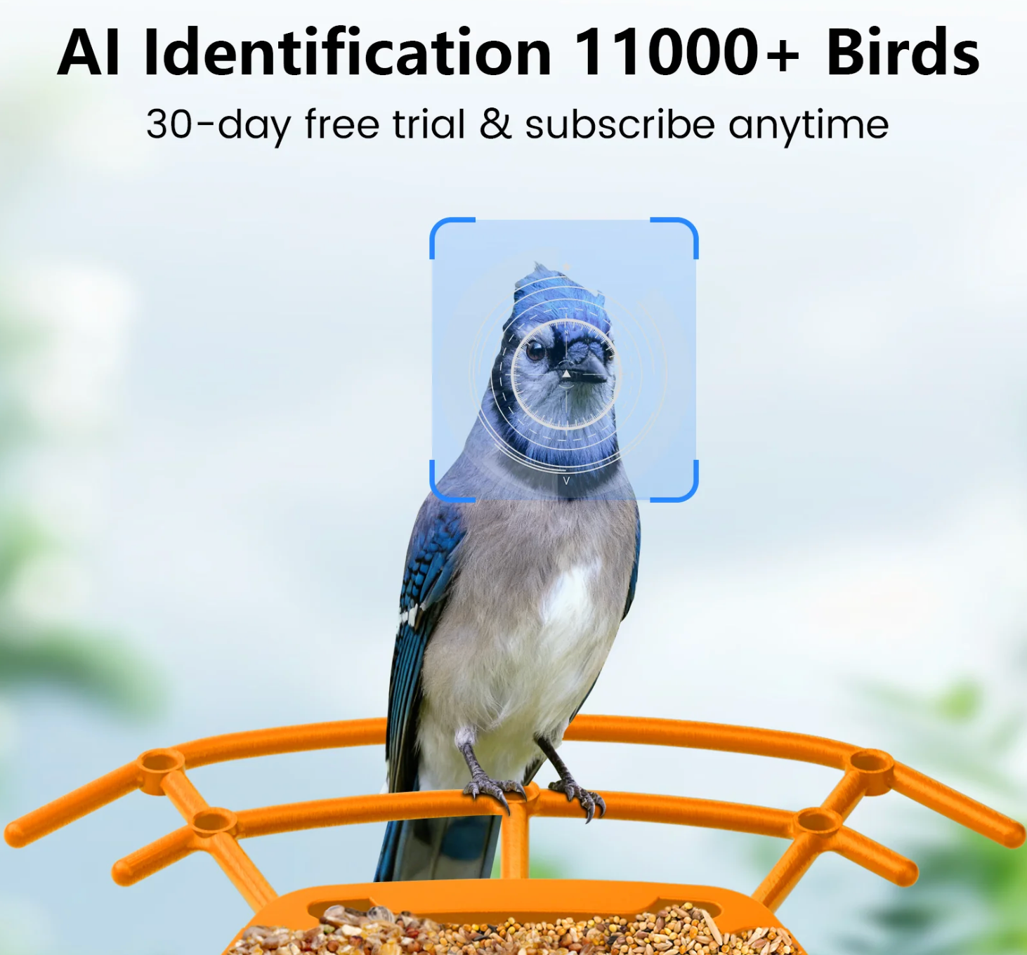 AI Smart Bird Feeder Camera 2.5K HD