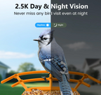 AI Smart Bird Feeder Camera 2.5K HD