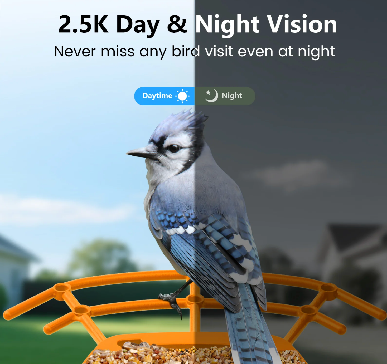 AI Smart Bird Feeder Camera 2.5K HD