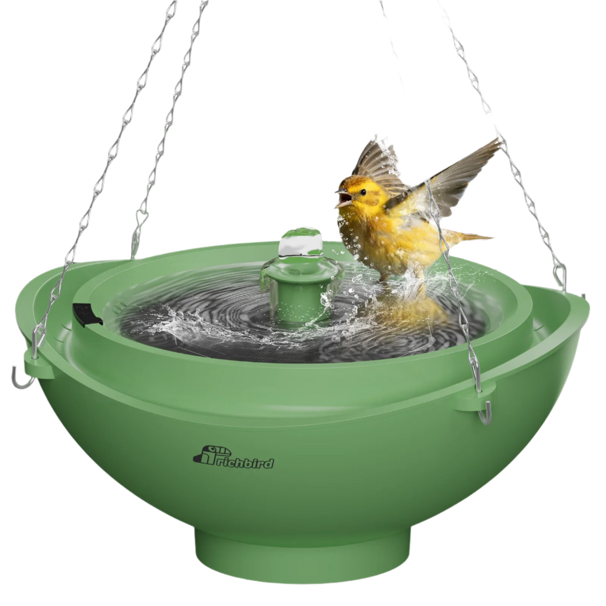 Solar Powered Green Bird Bath - Birds of Our Lives