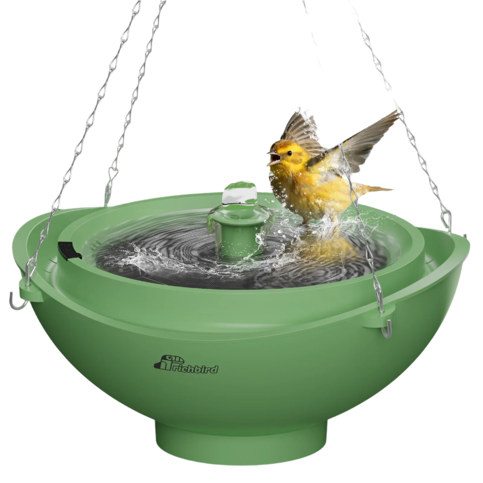 Solar Powered Green Bird Bath - Birds of Our Lives