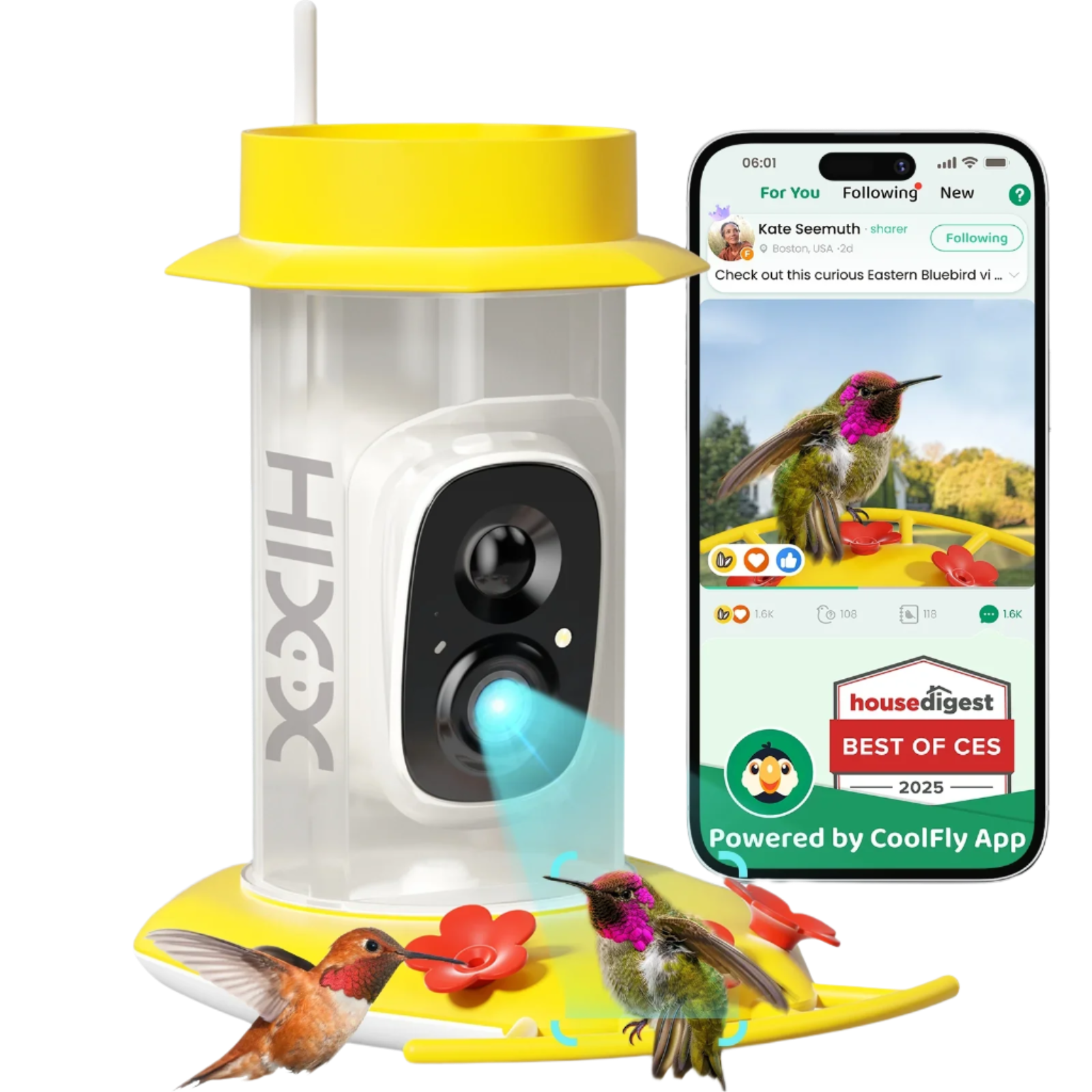 Yellow Smart Hummingbird Feeder Camera- Birds of Our Lives