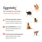 The Smart Coop AI Camera