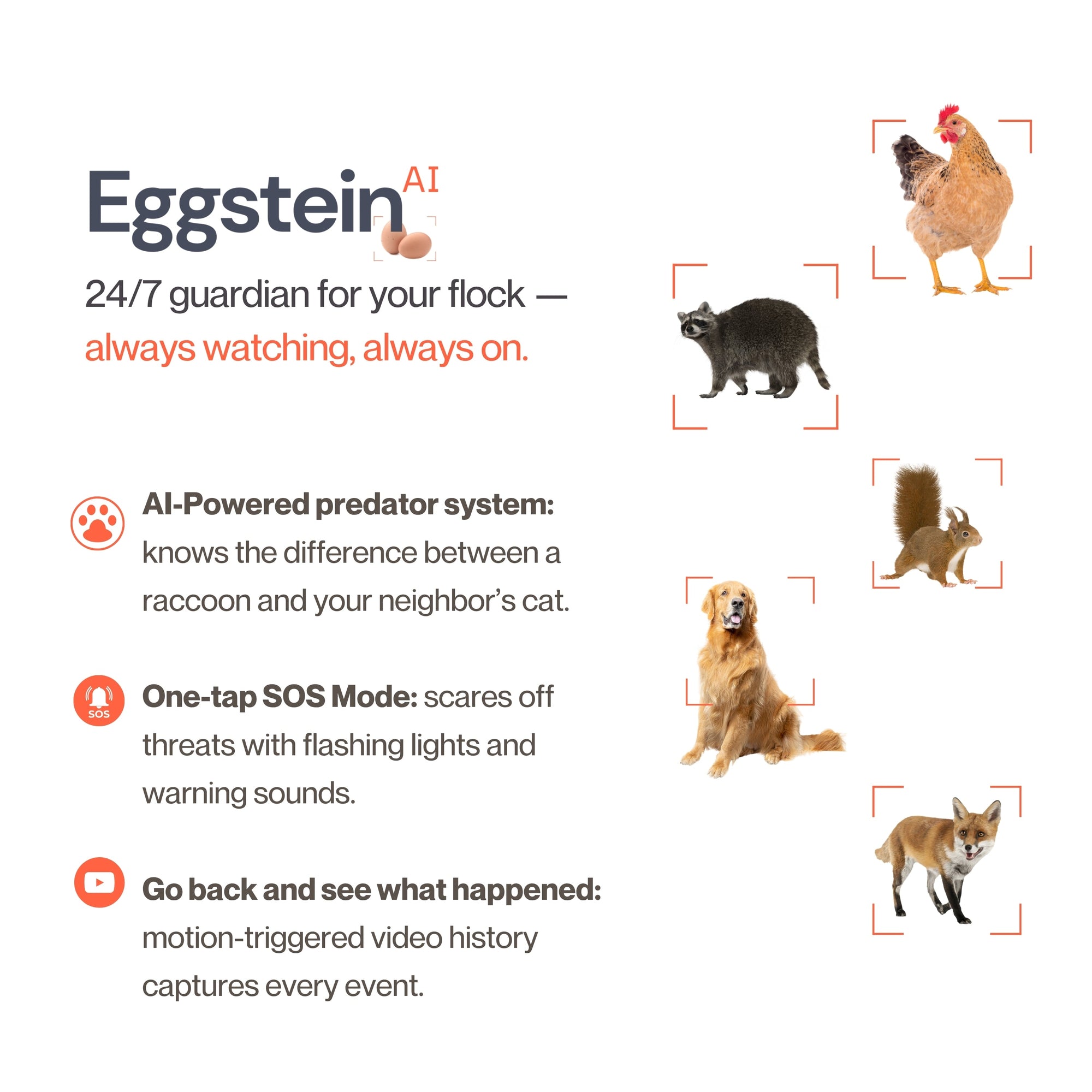 The Smart Coop AI Camera