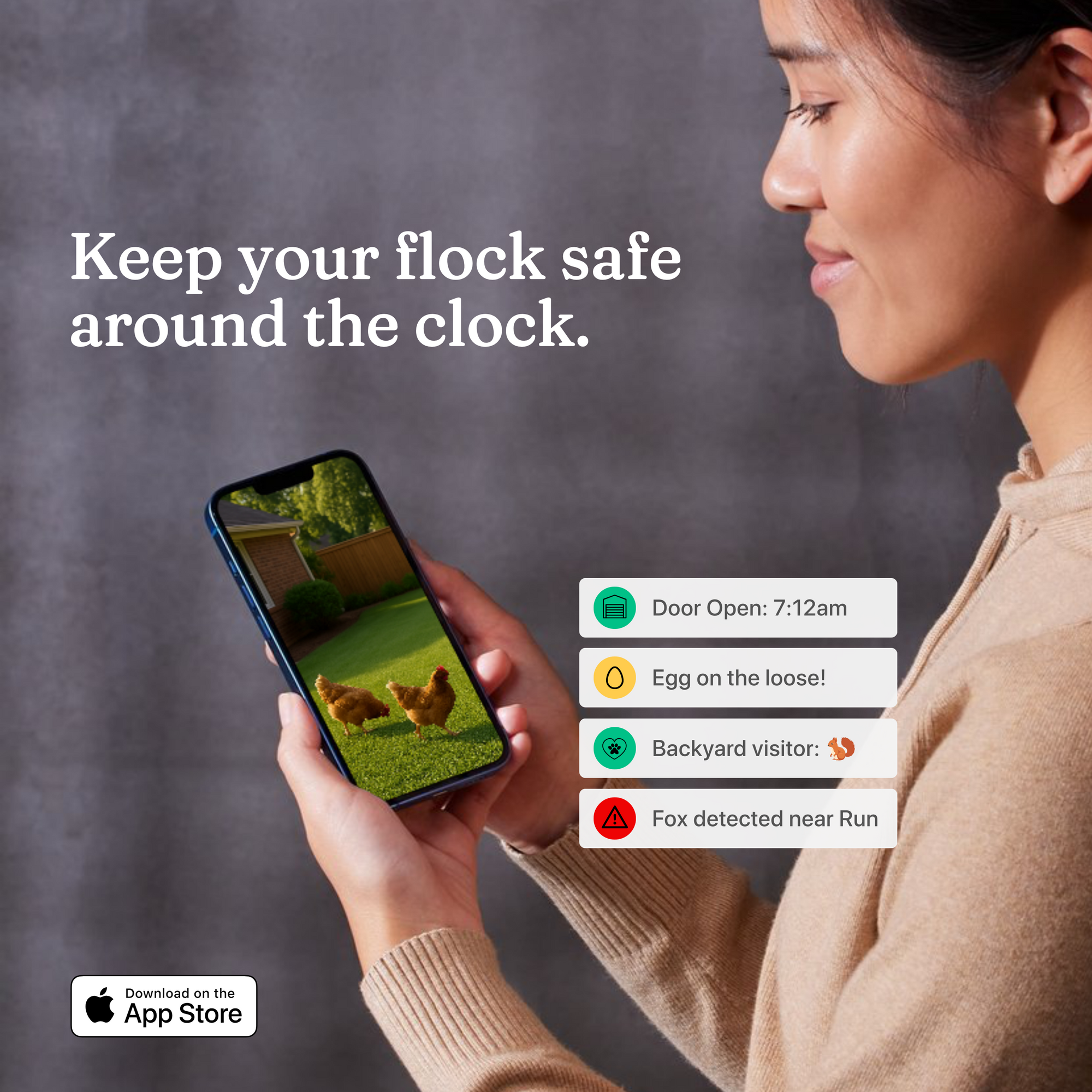 The Smart Coop Unlimited - Chicken Set-Up